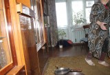 Капремонт по-калужски: ветеран замерзает в доме без крыши. Фото  
